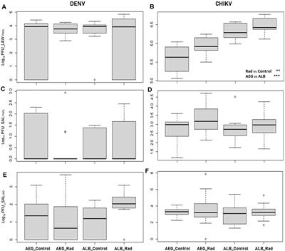 Impact of Irradiation on Vector Competence of Aedes aegypti and Aedes albopictus (Diptera: Culicidae) for Dengue and Chikungunya Viruses